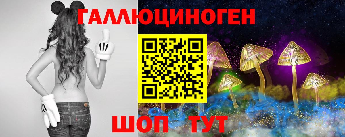 Новошахтинск  Псилоцибиновые грибы прущие грибы  Вход с VPN 