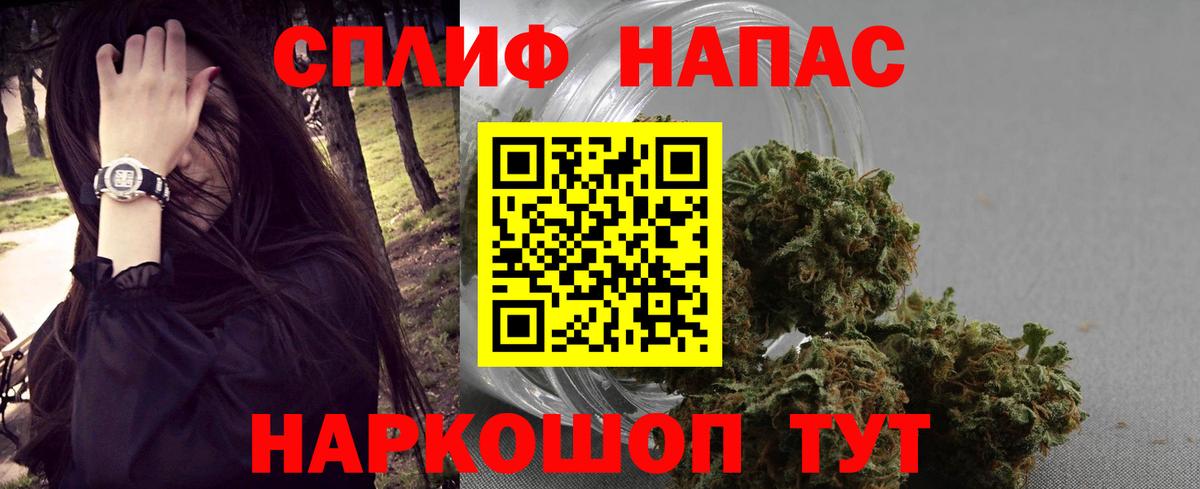 Конопля план Новошахтинск